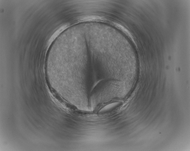 X0000075861330200610151625