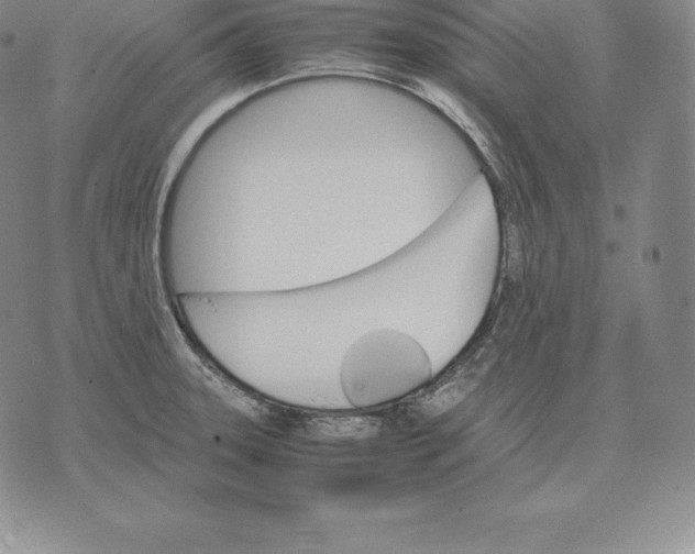 X0000075861331200610151625