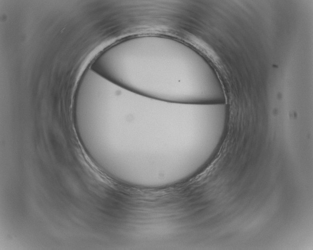 X0000075861332200610151625