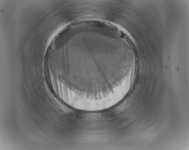 X0000075861333200610151625