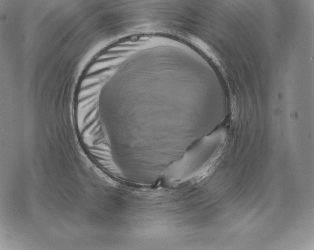 X0000075861334200610151625