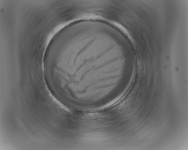 X0000075861335200610151626