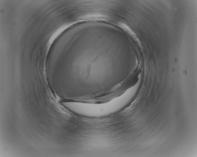 X0000075861336200610151626