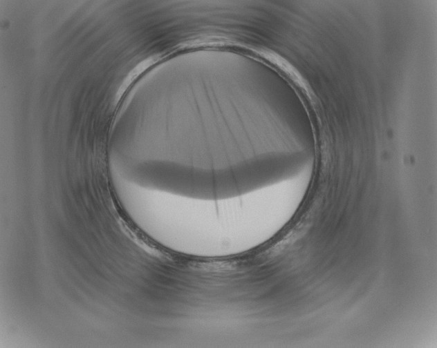 X0000075861337200610151626