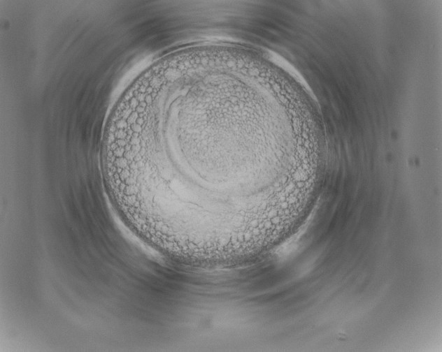 X0000075861338200610151626