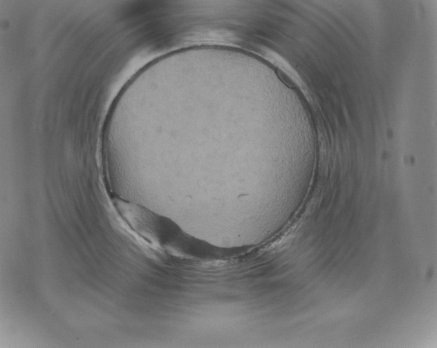 X0000075861339200610151626