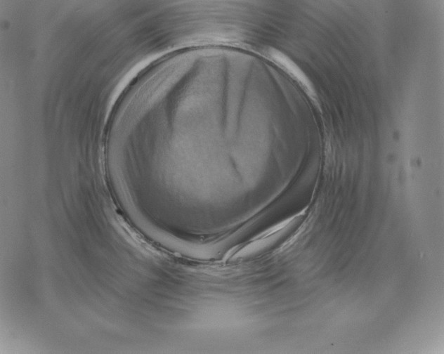 X0000075861340200610151626