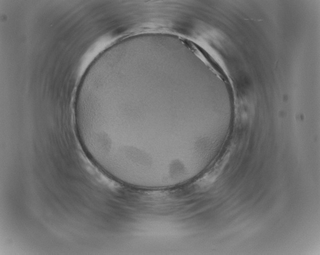 X0000075861341200610151626