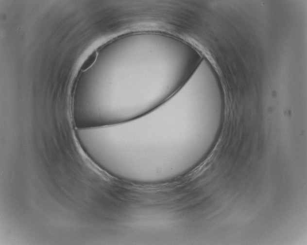 X0000075861342200610151626