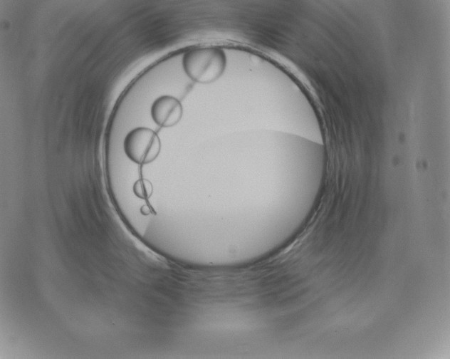 X0000075861343200610151626