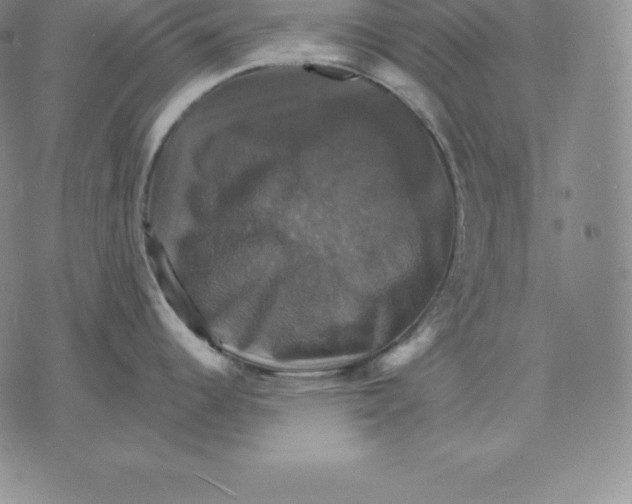 X0000075861344200610151626