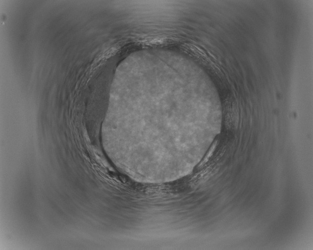 X0000075861345200610151625