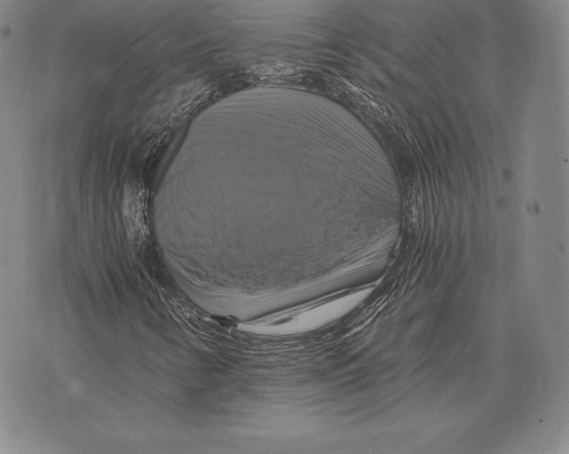 X0000075861346200610151625