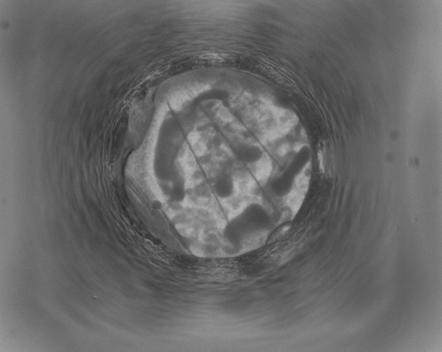 X0000075861347200610151625