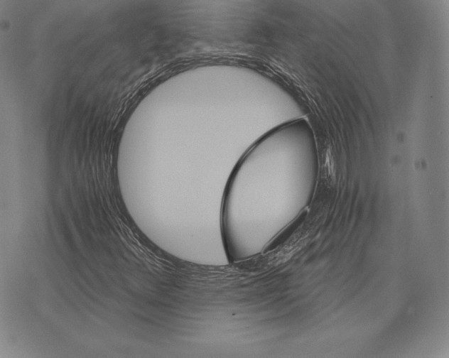 X0000075861348200610151625