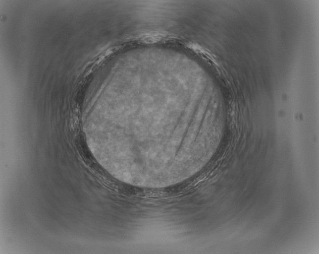 X0000075861349200610151625