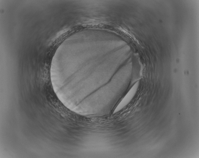 X0000075861350200610151625