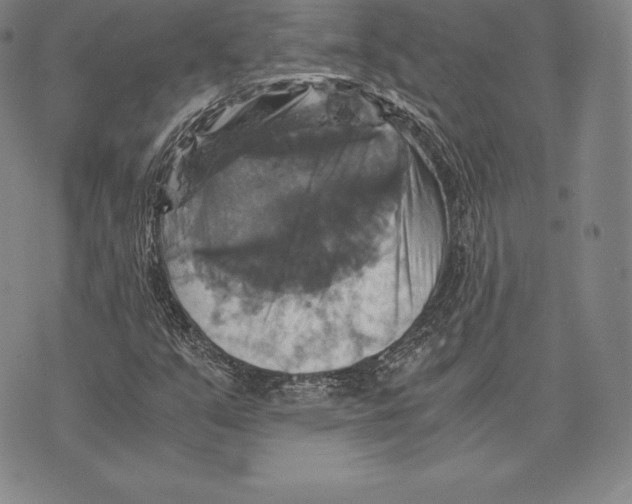 X0000075861351200610151625