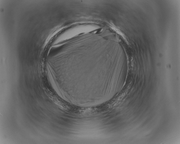 X0000075861352200610151625