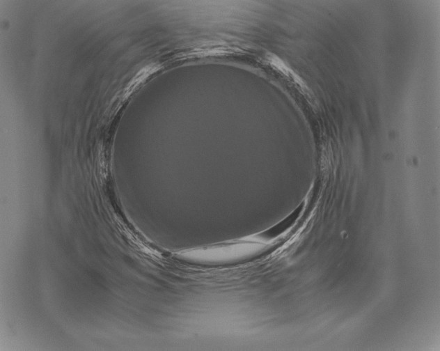 X0000075861353200610151625