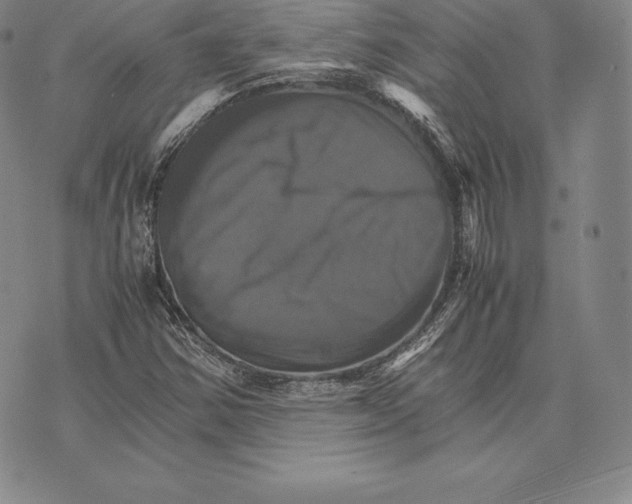 X0000075861354200610151625