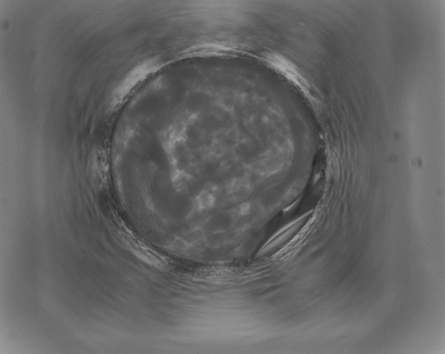 X0000075861355200610151625