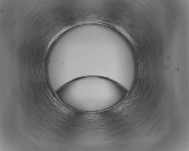 X0000075861356200610151625