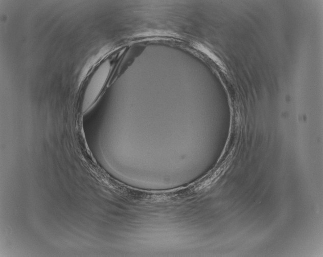 X0000075861357200610151625