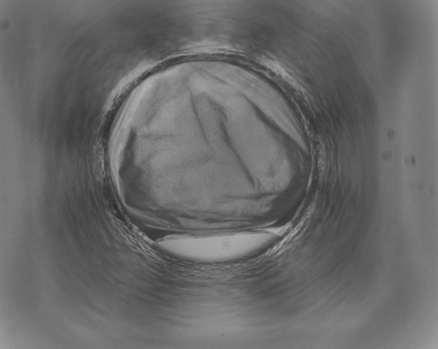 X0000075861358200610151625