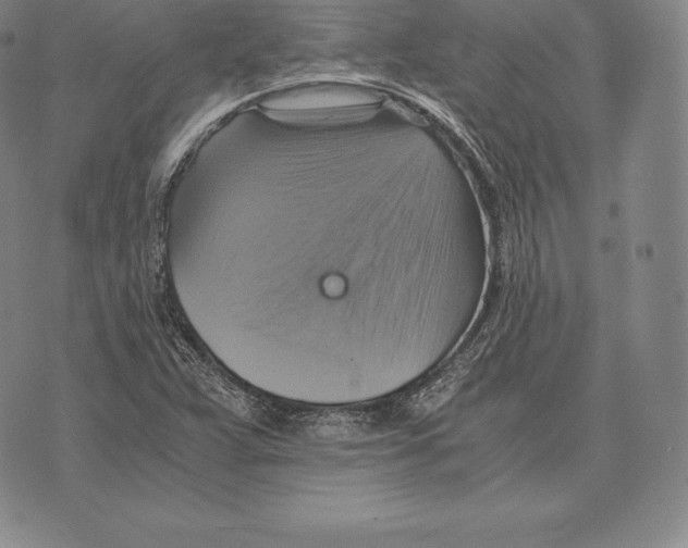 X0000075861359200610151625