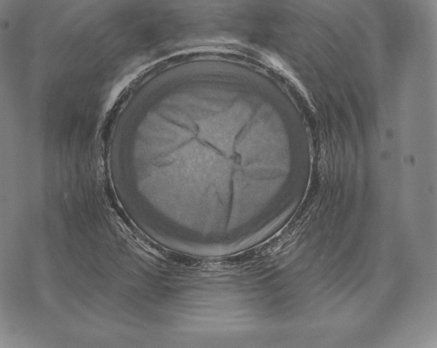 X0000075861360200610151625