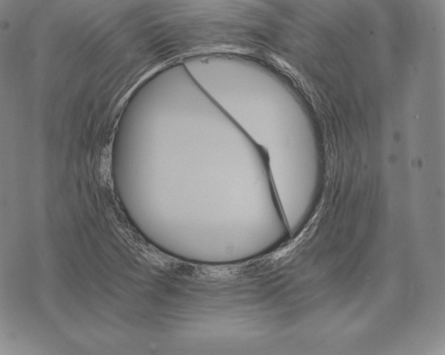 X0000075861361200610151625