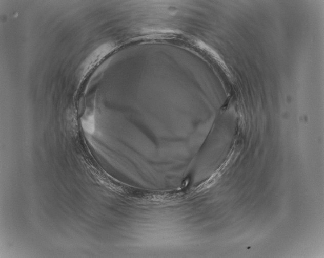 X0000075861362200610151625