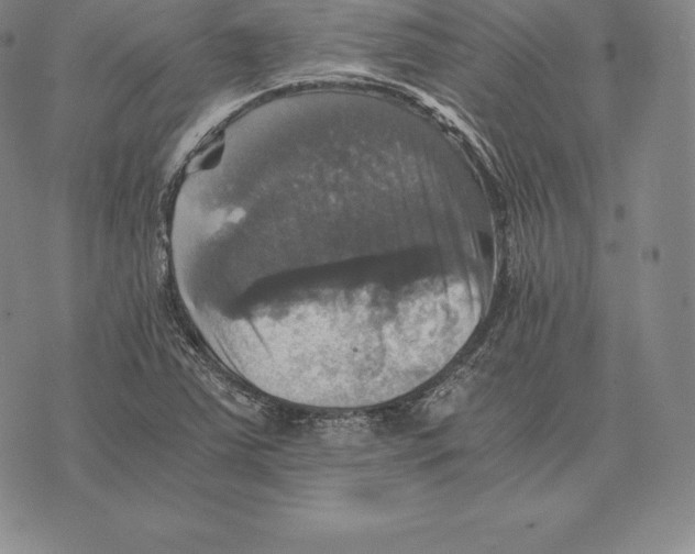 X0000075861363200610151624