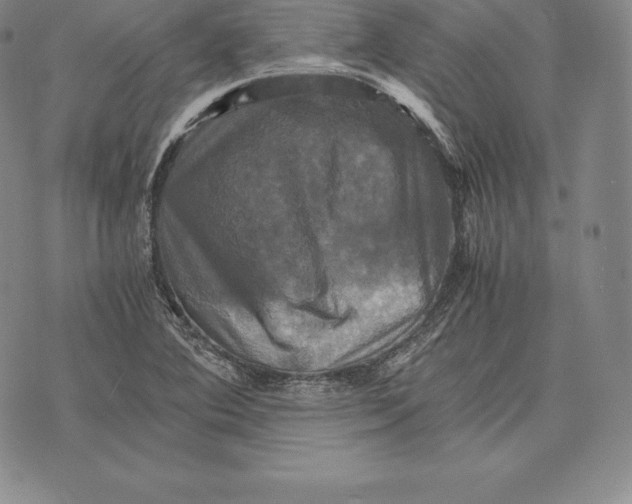 X0000075861364200610151624