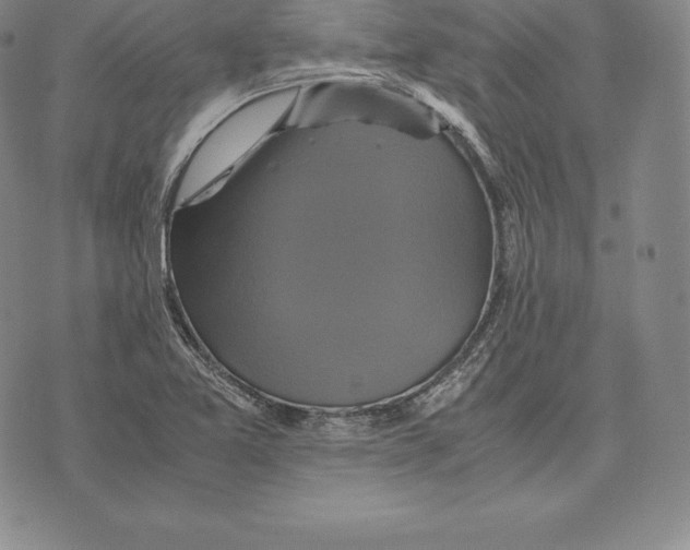 X0000075861365200610151624