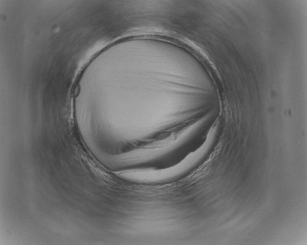 X0000075861366200610151624