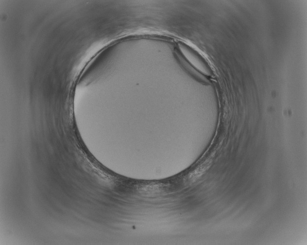 X0000075861367200610151624