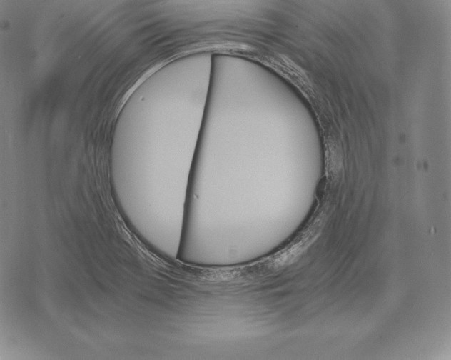 X0000075861369200610151624