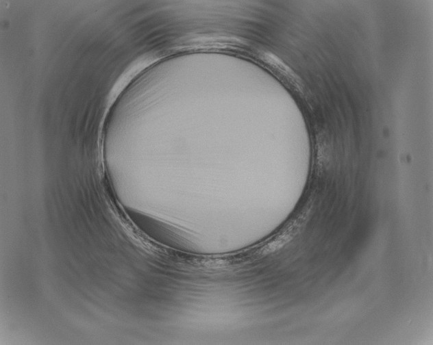 X0000075861370200610151624