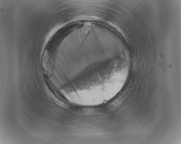 X0000075861371200610151624