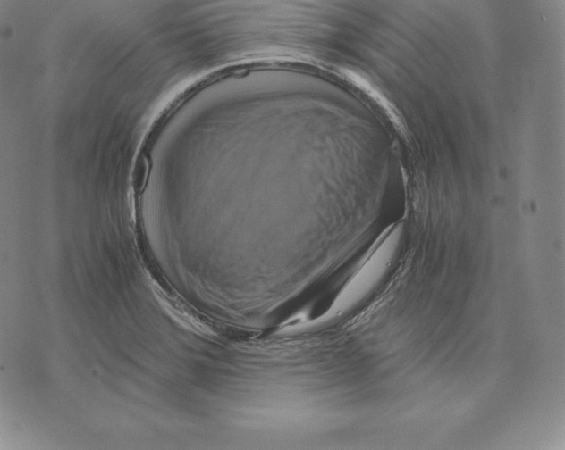 X0000075861372200610151624