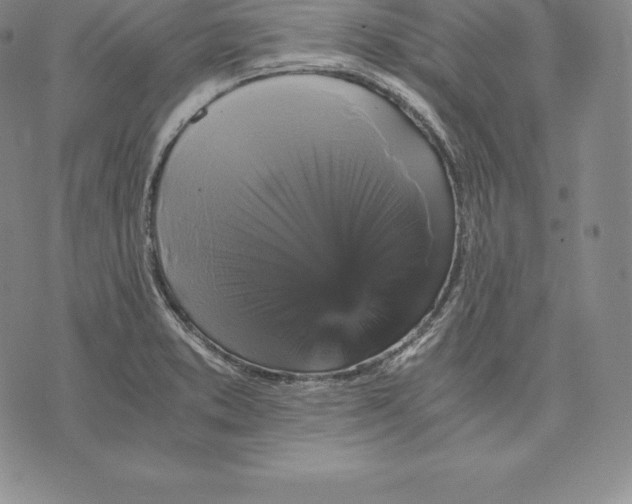 X0000075861373200610151624