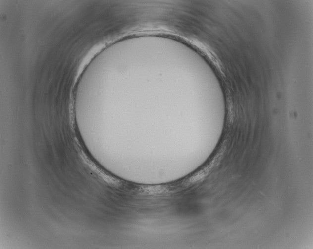 X0000075861374200610151624