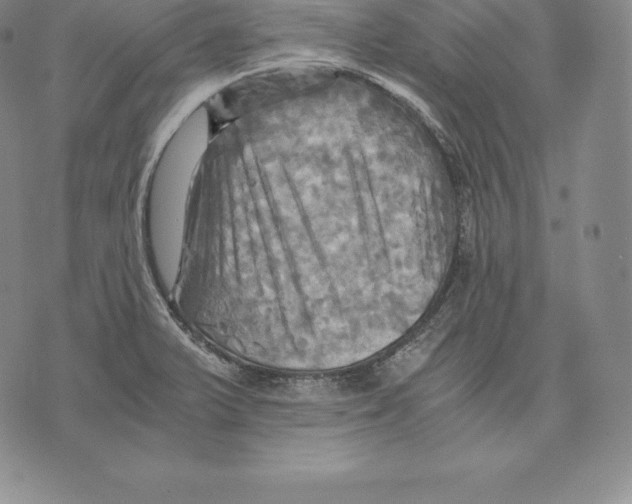 X0000075861375200610151624