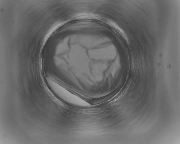 X0000075861376200610151624