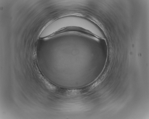 X0000075861377200610151624