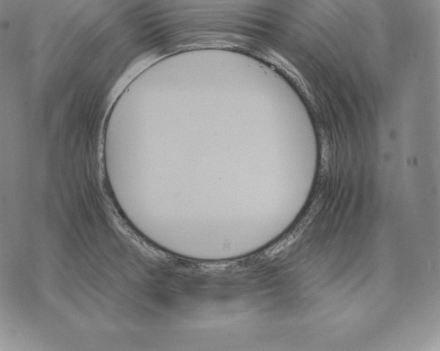 X0000075861378200610151624