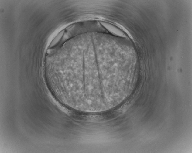 X0000075861379200610151624