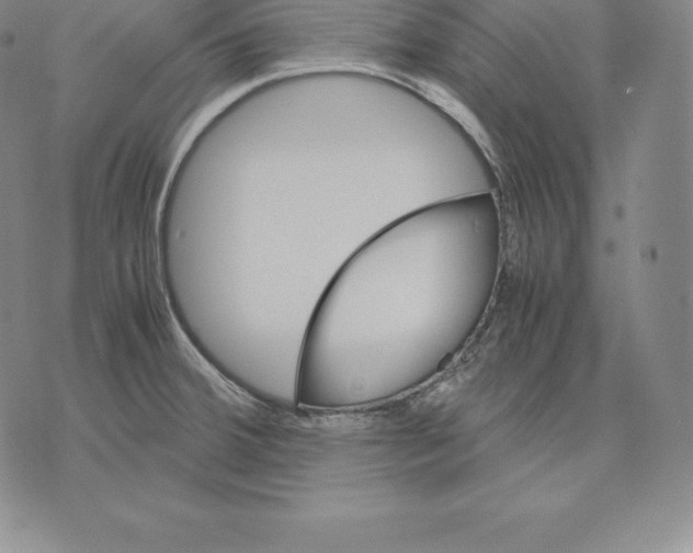 X0000075861380200610151624